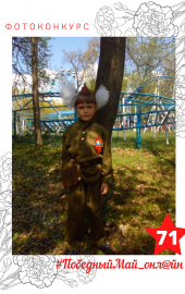 71 КУСТОВА ЛИЛИЯ