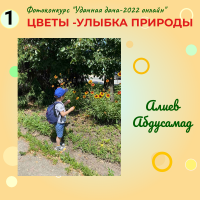 Цветы (1)