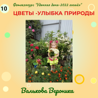 Цветы (10)