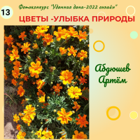 Цветы (13)