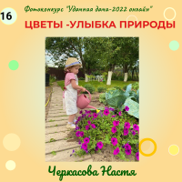 Цветы (16)