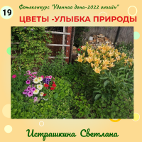 Цветы (19)