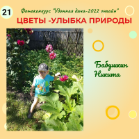 Цветы (21)