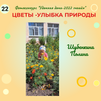 Цветы (22)