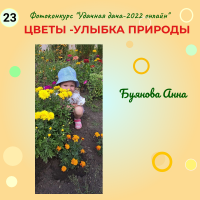 Цветы (23)
