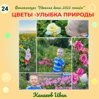 Цветы (24)
