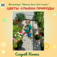 Цветы (32)