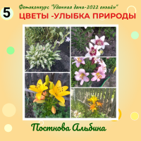 Цветы (5)