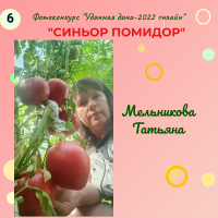 синьор помидор (6)